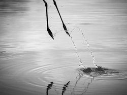 Ketika Kejadian Tidak Terduga Bikin Foto Jadi Terasa Istimewa