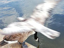 Ketika Kejadian Tidak Terduga Bikin Foto Jadi Terasa Istimewa