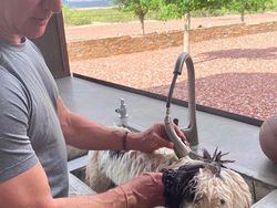 Gaya Manusia Rp 2.900 Triliun Tak Mencerminkan Hartanya