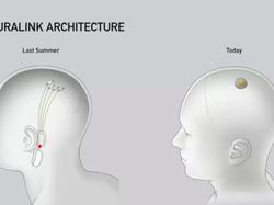 5 Perusahaan Elon Musk yang Dicemaskan Bikin Dia Kewalahan