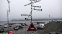 Di lokasi perkemahan inilah seorang pria dibunuh oleh seekor beruang kutub. Sejak 1971 lima orang telah dibunuh oleh beruang kutub di sekitar Longyearbyen.