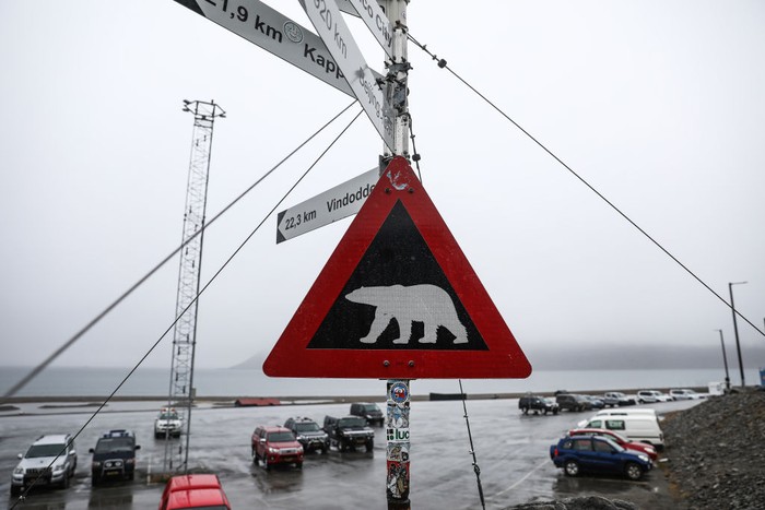 Seorang pria dibunuh oleh Beruang Kutub saat sedang tidur di tendanya di perkemahan Longyearbyen, Norwegia. Sejak tahun 1971 sudah lima orang menjadi korban.
