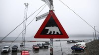 Beruang kutub sudah menjadi berbahaya umum di daerah tersebut. Orang-orang dihimbau untuk tidak meninggalkan Longyearbyen dengan berjalan kali tanpa membawa senjata