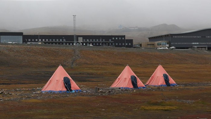 Seorang pria dibunuh oleh Beruang Kutub saat sedang tidur di tendanya di perkemahan Longyearbyen, Norwegia. Sejak tahun 1971 sudah lima orang menjadi korban.