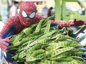 Keren! Spider-Man Ini Setiap Hari Jualan Petai di Pasar
