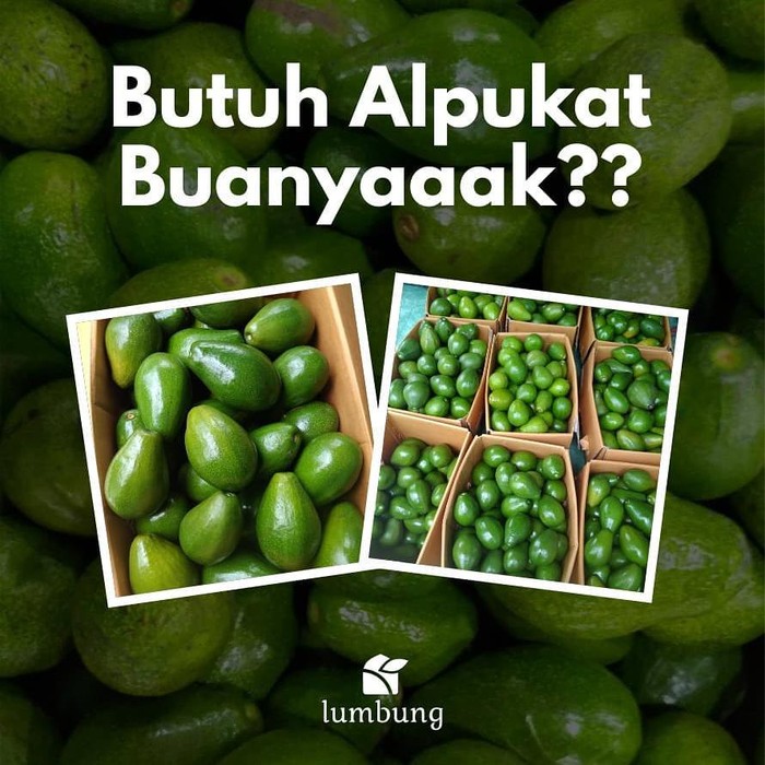 Tempat beli buah lokal via online Tempat beli buah lokal via online