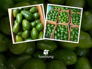 5 Tempat Beli Buah Lokal via Online, Dijamin Segar!