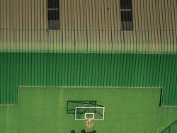 Terpukau Keindahan Jawara Bird Photographer of the Year 2020