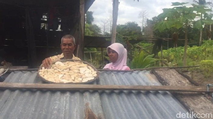 Pasangan lansia La Hasa dan Wa Zifa penghuni Pulau Pendek di Buton, Sultra (Siti Harlina-detikcom).
