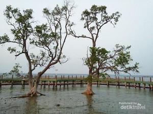 5 Tempat Wisata di Kepulauan Seribu yang Masih Sepi dan Murah