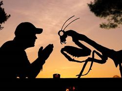 Foto Siluet Super Keren dan Kreatif Hanya Bermodal Kardus