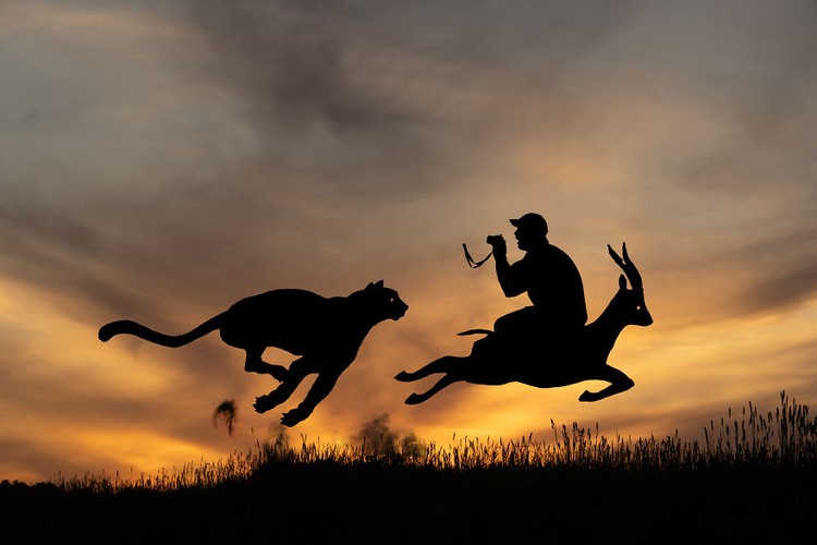 sunsetselfies siluet john marshall