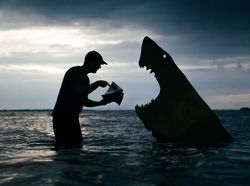 Foto Siluet Super Keren dan Kreatif Hanya Bermodal Kardus