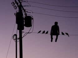 Foto Siluet Super Keren dan Kreatif Hanya Bermodal Kardus