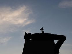 Foto Siluet Super Keren dan Kreatif Hanya Bermodal Kardus