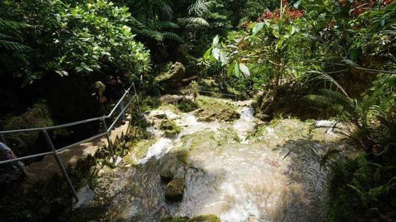 Taman Sungai Mudal Taman Sungai Mudal