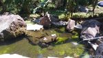 Foto: Wisata Tenjo Layar di Kaki Gunung Ciremai