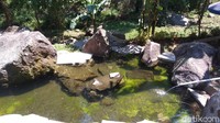Tenjo Layar punya dua lokasi utama, yang pertama ialah tempat untuk bermain keluarga seperti kolam renang dan kolam terapi ikan. (Bima Bagaskara/detikcom)