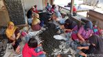 Briket Organik Karawang Diminati Pasar Eropa dan Timur Tengah Briket Organik Karawang Diminati Pasar Eropa dan Timur Tengah