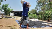 Prediksi Adi kemudian menjadi kenyataan. Selain di Eropa, briket buatan Adi juga diminati pasar Timur Tengah. Di negara-negara Arab, briket digunakan untuk bahan bakar shisa atau hookah alias rokok Arab. Sedangkan di Eropa, briket kerap digunakan menjadi bahan bakar barbeque.
