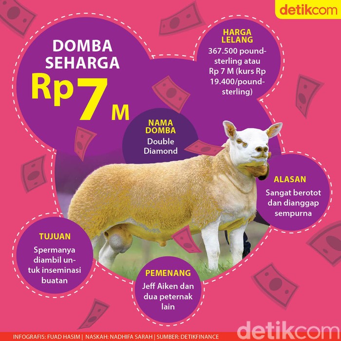 Domba Domba