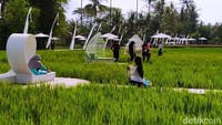 Lokasinya SvargaBumi ini tak jauh dari Candi Borobudur, Kecamatan Borobudur, Kabupaten Magelang, Jawa Tengah, tepatnya di Dusun Gopalan dan Ngaran, Desa Borobudur. Di lahan seluas 3 hektare ini, pengunjung bisa menikmati spot selfie yang ada berkisar 20 sampai 22 titik spot selfie. Tak hanya menawarkan pemandangan alam yang menawan, harga tiket masuk ke objek wisata itu pun masih terbilang terjangkau, yakni Rp 25 ribu.