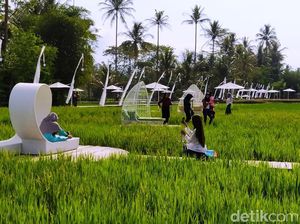 Cerita Pemilik Wisata SvargaBumi Bagi Hasil Sawah dengan Petani