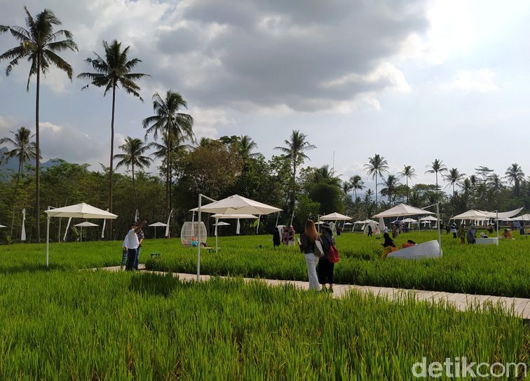 Destinasi wisata SvargaBumi Borobudur tengah menarik perhatian publik. Di sana wisatawan disuguhi pemandangan sawah serta pegunungan Menoreh dan Candi Borobudur