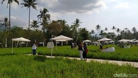 Berdasarkan pantauan di lokasi, di lahan persawahan yang disewa tersebut seluas 3 hektare. Saat ini, ada padi yang masih menghijau, namun ada juga padi yang sudah dipanen. Jika sebelumnya lahan ini, merupakan lawan persawahan tadah hujan, namun demikian pengelola SvargaBumi menyampaikan pascapanen akan melakukan beberapa trik. Termasuk disediakan sumur untuk pengairan di lahan tersebut.