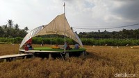 Kepopuleran objek wisata tersebut bahkan menarik perhatian Gubernur Jawa Tengah, Ganjar Pranowo. Dalam akun sosial media Instagramnya, Ganjar membahas objek wisata yang berada di kawasan Magelang tersebut. Pada Minggu (30/8) lalu, Ganjar pun berkunjung langsung ke objek wisata tersebut. Ia pun memberikan respons yang positif terhadap keberadaan destinasi wisata ini.
