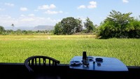 Kopi Teman Lelah dibangun tepat di samping area persawahan. Makanya, udaranya segar dan tidak pengap walaupun berada di pinggir jalan. Traveller dapat melihat keindahan candi di tempat ini pada pukul 16.00-23.00 WIB. (Kristina/detikcom)