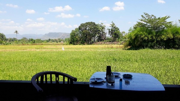 Kopi Teman Lelah dibangun tepat di samping area persawahan. Makanya, udaranya segar dan tidak pengap walaupun berada di pinggir jalan. Traveller dapat melihat keindahan candi di tempat ini pada pukul 16.00-23.00 WIB. (Kristina/detikcom) Kopi Teman Lelah dibangun tepat di samping area persawahan. Makanya, udaranya segar dan tidak pengap walaupun berada di pinggir jalan. Traveller dapat melihat keindahan candi di tempat ini pada pukul 16.00-23.00 WIB. (Kristina/detikcom)