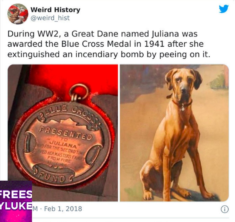 Foto bisa menjadi media mengenang masa lalu yang indah. Berikut ini adalah beberapa contoh di antaranya, ada Queen Elizabeth II kondangan, loh.