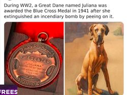 Kumpulan Foto Langka Bersejarah, Ada Queen Elizabeth II Kondangan