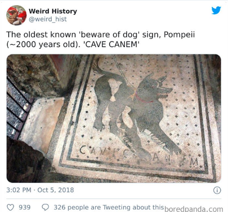 Foto bisa menjadi media mengenang masa lalu yang indah. Berikut ini adalah beberapa contoh di antaranya, ada Queen Elizabeth II kondangan, loh.