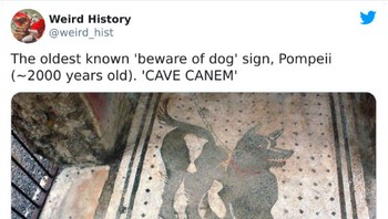 Tanda Awas Ada Anjing tertua yang pernah ada. Foto: weird_hist via Bored Panda