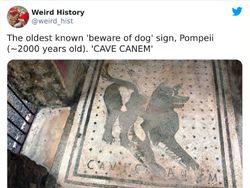 Kumpulan Foto Langka Bersejarah, Ada Queen Elizabeth II Kondangan