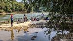 Musim Kemarau, Debit Air Sungai Cisadane Menyusut