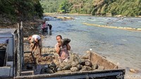 Warga juga memanfaatkan sungai yang mengyusut untuk menambang batu.
