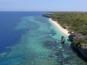Tanaman Paling Mematikan di Dunia Ada di Maluku