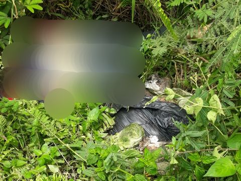 Penemuan mayat dalam parit di Deli Serdang (dok. Istimewa)
