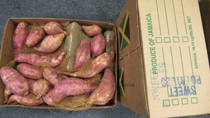 penyelundupan narkoba dalam makanan penyelundupan narkoba dalam makanan