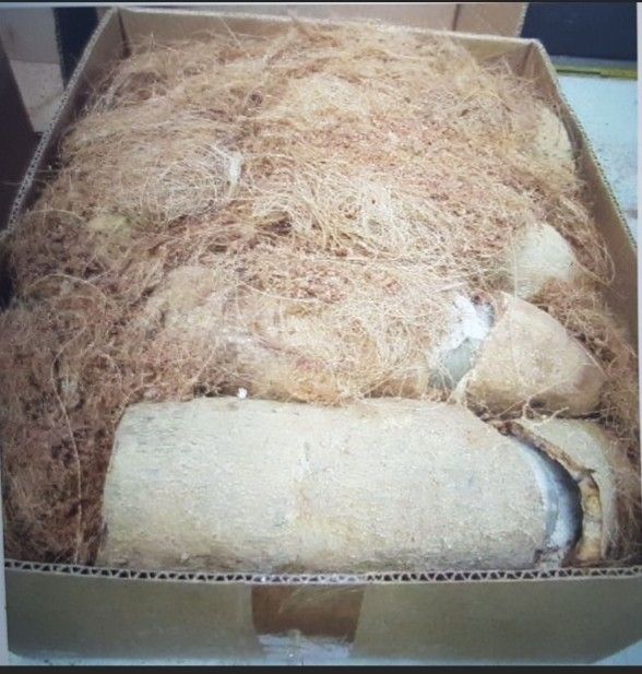 penyelundupan narkoba dalam makanan