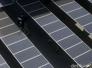 PLN Kejar Porsi Energi Terbarukan 23% di 2025, Bisa?