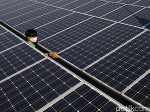 Danone Mau Bangun PLTS Atap 15 MW di RI