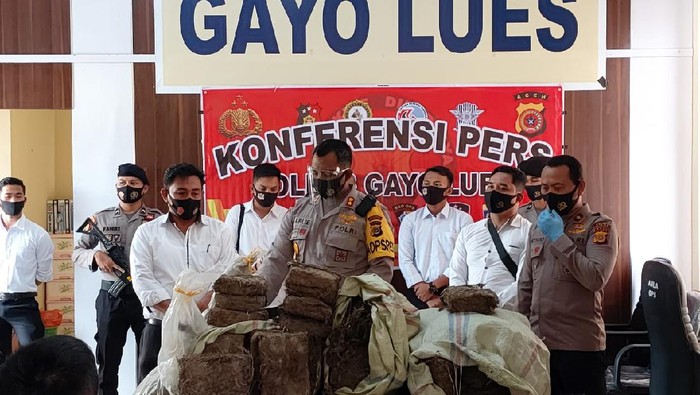 Polisi tangkap petani diduga jual ganja di Aceh (dok. Istimewa)