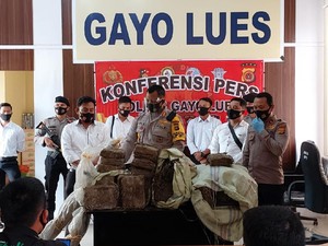 Jual Ganja 65 Kg, Petani di Aceh Ditangkap