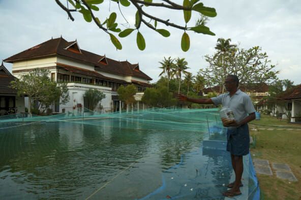Resort mewah ubah fungsi kolam renang jadi kolam ikan