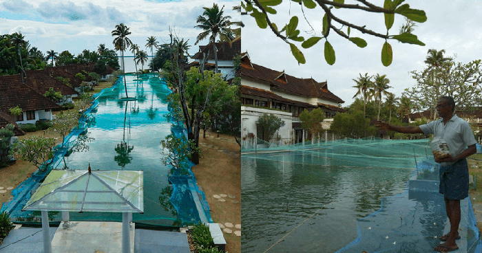 Resort mewah ubah fungsi kolam renang jadi kolam ikan