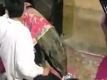 Sepenggal Kisah Babi Hutan Menangis hingga Mitos Babi Ngepet Mencuat